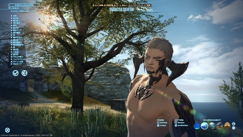 ffxiv_20170726_020224.jpg
