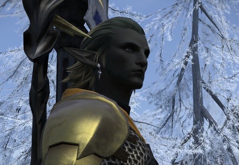 ffxiv_20160518_011000 (2).jpg